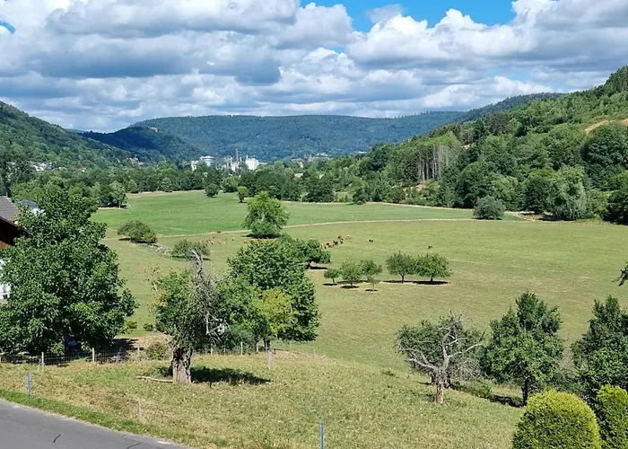 Διαμέρισμα Mohnblume Schneeberg (Bavaria)