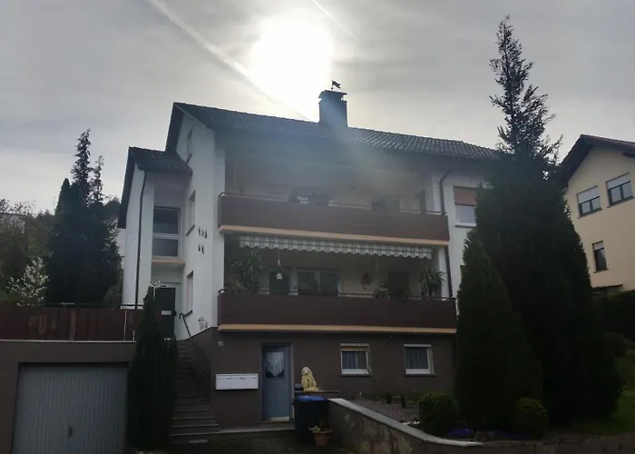 Mohnblume * Schneeberg (Bavaria)
